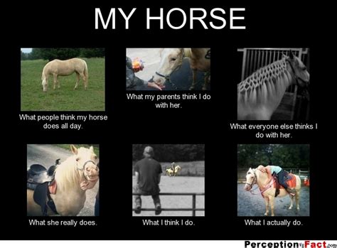 My Horse What People Think I Do What I Really Do