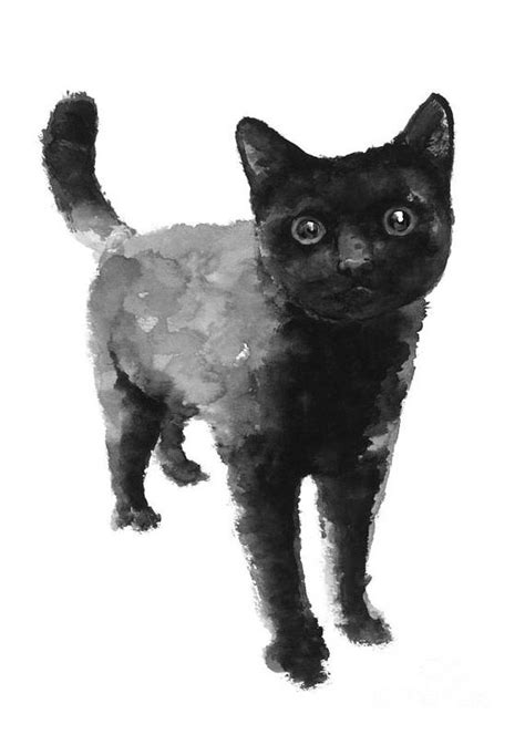 Cat Art Black Cat Watercolor Black Cat Art Print Black Cat Wall Art