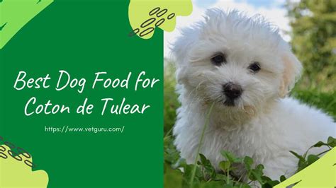 The 2021 edition of the u.s. Best Dog Food for Coton de Tulear of 2021