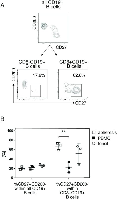 Distribution Of B Cell Subsets In The Cd27cd200 Space A In A