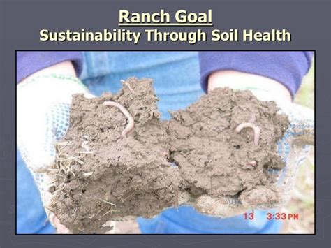 Gabe Brown Soil Health With Polycultures
