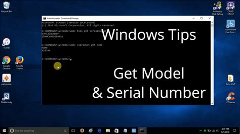 With the windows 10 november 2019 update, windows search is now integrated into the search. How to Find Your Computer Model & Serial Number inside of ...