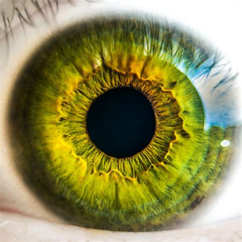 Persons Green Eye · Free Stock Photo