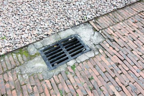 3 Warning Signs That Point To A Main Sewer Line Blockage Blog Your