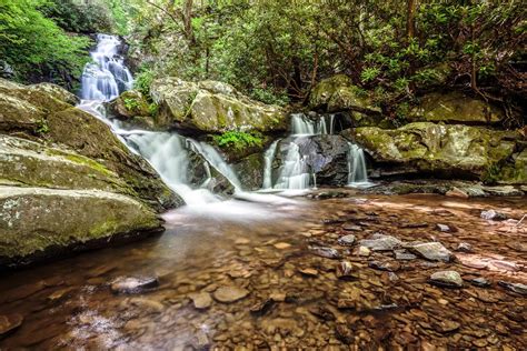 Maybe you would like to learn more about one of these? pilot-cove-forest-lodging-pisgah-national-forest ...