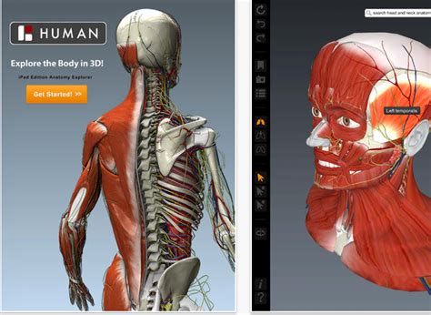 7 Wonderful Ipad Apps To Learn About Human Body In 3d Educational