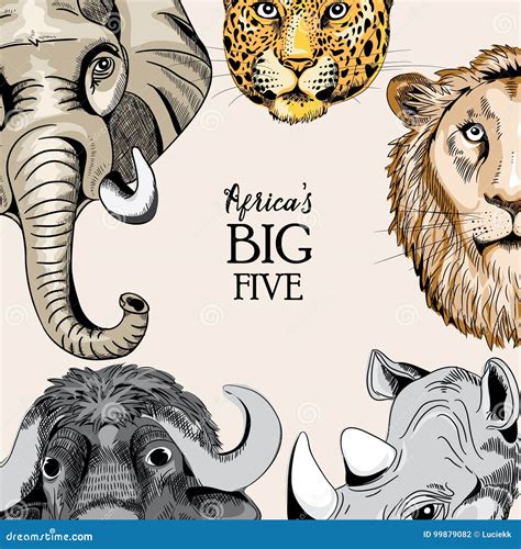 Collection Of Animals From Africa S Big Five Vector Illustration On