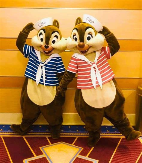Pin By Cody Cakebread On Chip And Dale In 2021 Chip And Dale Chips Cute