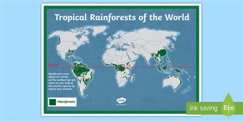 Start studying location of tropical rainforests. Tropical Rainforests World Map - tropical rainforest