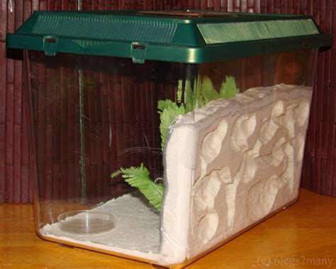 How To Build Your Own Formicarium Cheap You Will Need Terrarium
