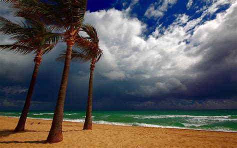 Sea Clouds Beach Palm Trees Landscape Ocean Wallpaper 2560x1600 156989 Wallpaperup