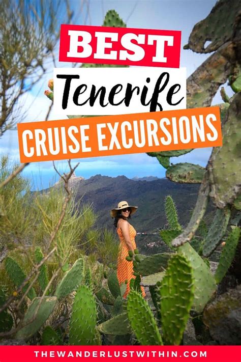 14 Epic Shore Excursions In Tenerife You Cant Miss Pando Cruises 2024