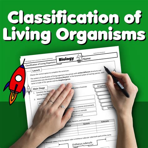 Classification Of Living Organisms Home Learning Worksheet Gcse Uk