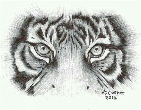 The Eyes Have It Tiger Eyes Tattoo Tiger Tattoo Design Lion Head