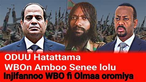 Oduu Hatattama Wbo Ambooti Injifannoo Argachuu Ethio Egypt Youtube