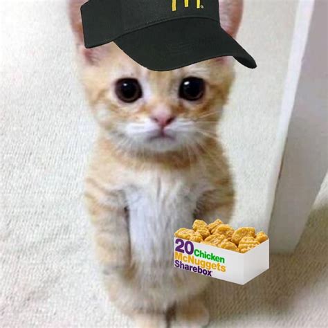 A Cat With A Hat On Its Head Standing Next To A Box Of Cereal