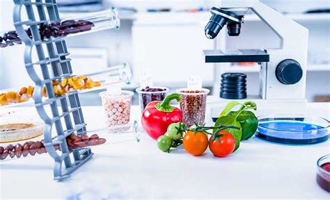 Impact Of Food Tech And Innovation On Nutrition And Health