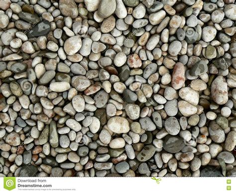 Texture Of The Pebbles Stock Image Image Of Beach Textures 15698035