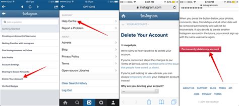 Owner of dina holland inte. How to Delete Instagram Account from iPhone [Instagram ...