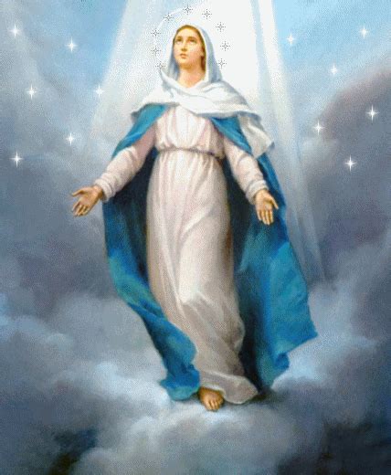 Presentamos algunas consideraciones para cada día de la novena. La Concepción Inmaculada de la Bienaventurada Virgen María ...