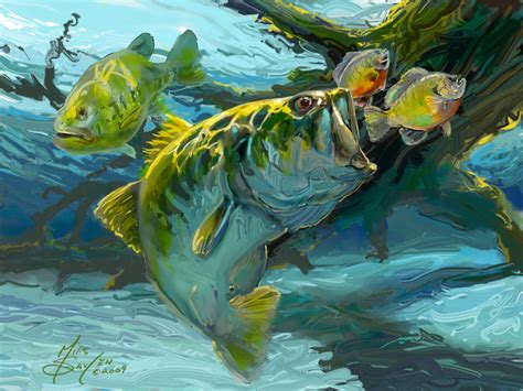 47 Largemouth Bass Fishing Wallpaper Wallpapersafari