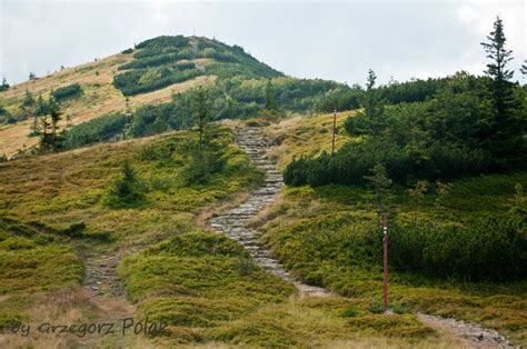 Babia góra (inaczej też diablak) to najwyższy szczyt w beskidach zachodnich, który wznosi się na wysokość 1725 m n.p.m mimo tego babia góra od dawna cieszy się popularnością wśród turystów. Tatrzański Gościniec - Leśnica - Babia Góra - piękne widoki