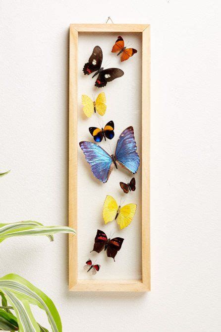 Trail Of Butterflies Frame Butterfly Frame Framed Butterfly Wall Art