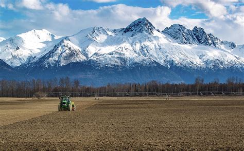 Alaska is a big state, with big vegetables and plants to go with it. Farming Palmer Alaska Photograph by Sam Amato