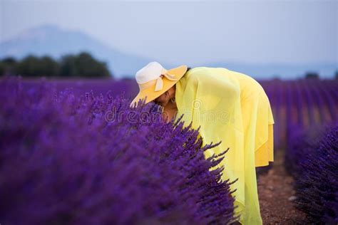 Asian Woman In Yellow Dress And Hat At Lavender Field Stock Photo