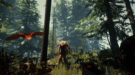 The Forest Ps4 Playstation 4 Game Profile News Reviews Videos