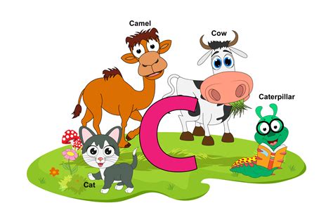 Cute Animal Name With Alphabet Letter C Graphic By Curutdesign