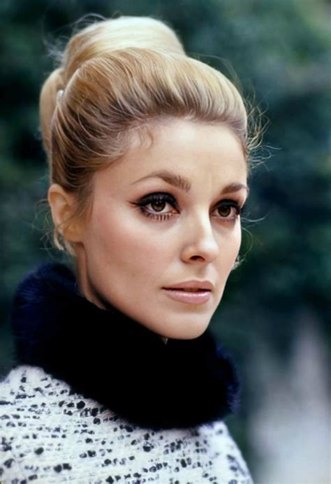 Sharon Tate Photographed By Shahrokh Hatami Flickr