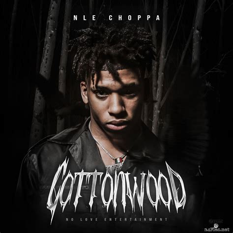 Nle Choppa Cottonwood 2019 Flac Lossless Music Blog