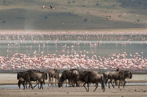 Tanzania Travel Guide: Essential Facts and Information