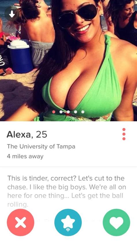 the best worst profiles and conversations in the tinder universe 41