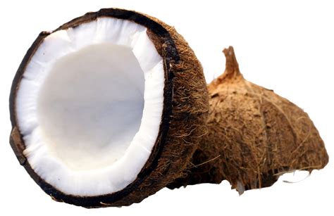 Coconut Png Free Image Png Mart