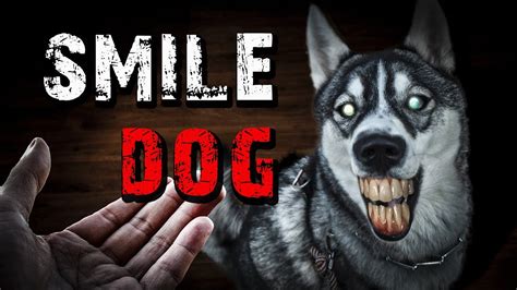 Smile dog стоковые фото, картинки и изображения. "Smile Dog" CREEPYPASTA - YouTube