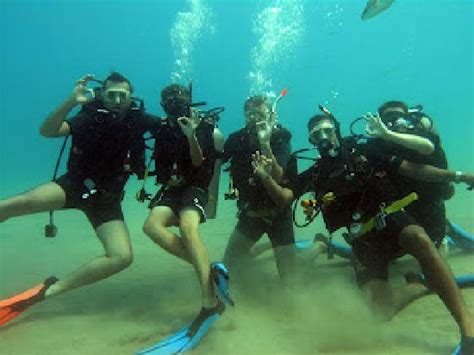 Montego Bay Scuba Diving Reviews Memugaa