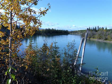 Takhini River Yukon Photograph By Phil Banks Fine Art America