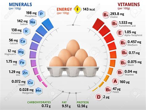 Ostrich Egg Nutrition Facts Besto Blog