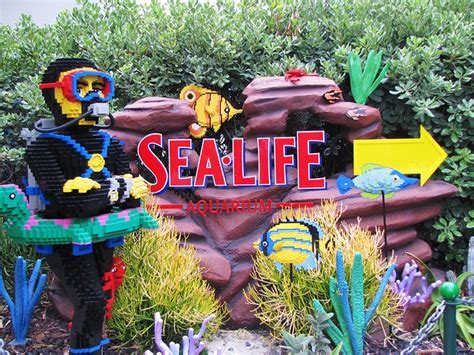 Sea Life Aquarium At Legoland California Flickr Photo Sharing