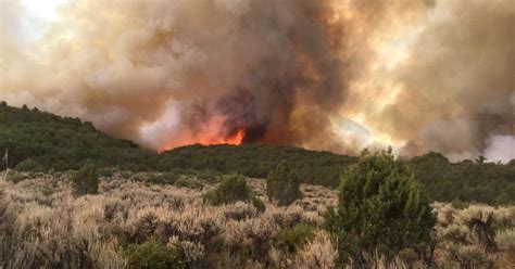 Pine Gulch Fire Burns 1500 Acres Near Grand Junction Cbs Colorado