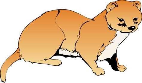 Orange Weasel Clip Art At Vector Clip Art Online Royalty