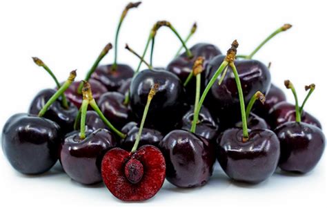 15 Different Cherry Fruit Varieties Interesting Facts With Pictures