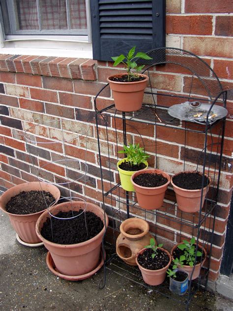 100510mygarden 4 Container Gardening On An Apartment Porch Flickr