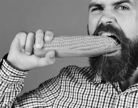 Farmer With Hungry Face Holds Yellow Corn In Mouth Guy Shows His