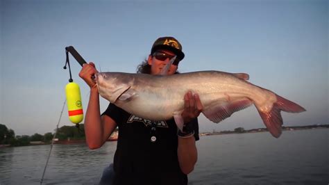 Mississippi River Catfish Fishing St Louis Teaser Anglrtour Youtube