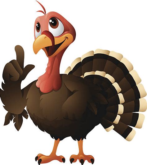 170 Funny Looking Turkeys Cartoon Stock Illustrations Royalty Free