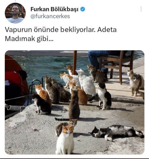 Murat Recep Alp On Twitter Rt Skaplaaan Alevileri S Rekli Hedef