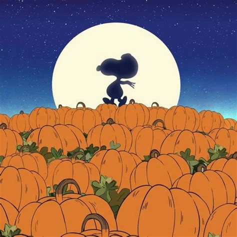 Download Charlie Brown Halloween Pictures Wallpapers Com